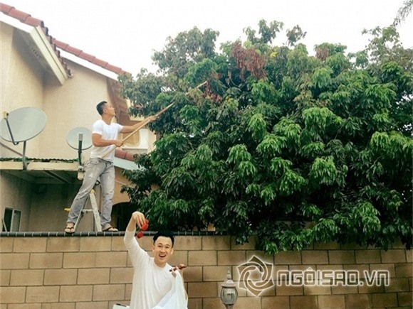 Thanh Thảo 1