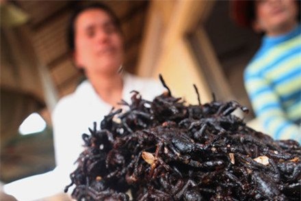 nhên, đặc sản nhện nướng, đặc sản nhện chiên giòn, nhên campuchia