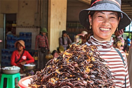 nhên, đặc sản nhện nướng, đặc sản nhện chiên giòn, nhên campuchia
