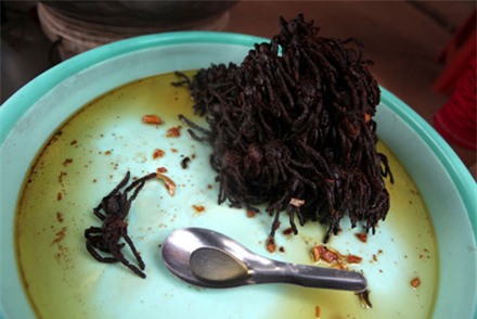 nhên, đặc sản nhện nướng, đặc sản nhện chiên giòn, nhên campuchia