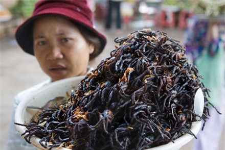 nhên, đặc sản nhện nướng, đặc sản nhện chiên giòn, nhên campuchia