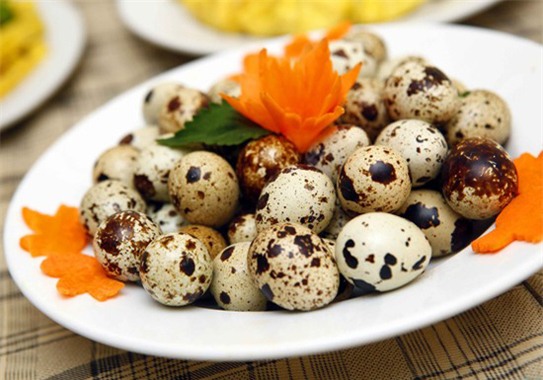 Những tác dụng không ngờ của trứng cút - Ảnh 1.