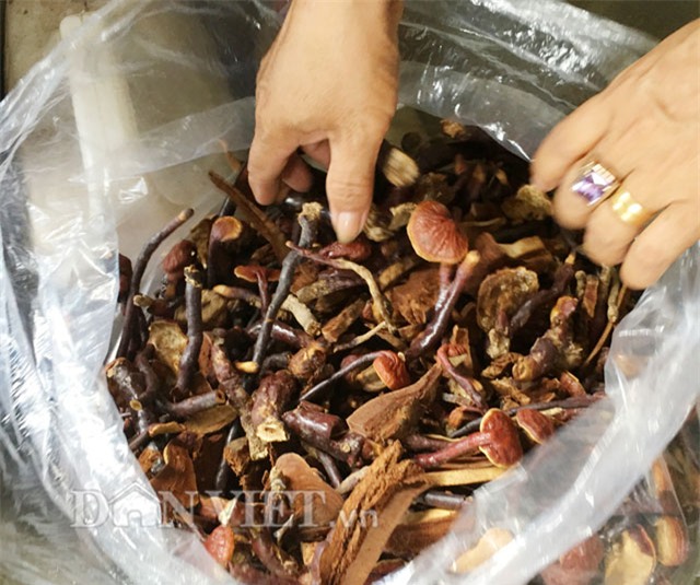 hiem hang, nam lim xanh doi gia tren 2 trieu dong/kg hinh anh 6