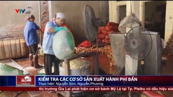 Hành phi, khoai tây, thối rữa, mọc mầm, ung thư, hành khô, hành ta, hành Tàu, hành tỏi, gia vị, Trung Quốc