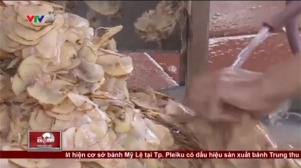 Hành phi, khoai tây, thối rữa, mọc mầm, ung thư, hành khô, hành ta, hành Tàu, hành tỏi, gia vị, Trung Quốc