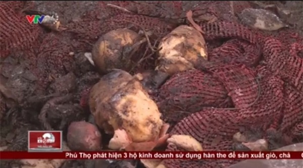 Hành phi, khoai tây, thối rữa, mọc mầm, ung thư, hành khô, hành ta, hành Tàu, hành tỏi, gia vị, Trung Quốc