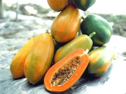 10 nguyên liệu rẻ bèo chữa đau dạ dày cực kỳ hiệu nghiệm - Ảnh 1.