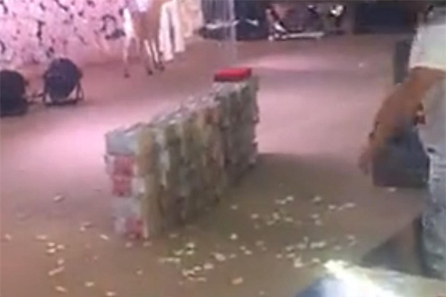 Nhà trai mang hẳn 20 tỷ tiền mặt lên sân khấu tặng cô dâu nhân ngày cưới - Ảnh 3.