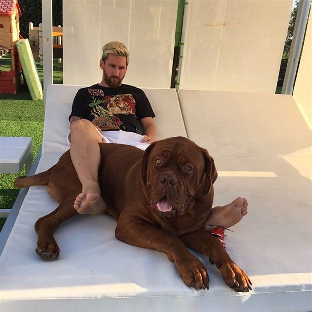Messi thảnh thơi thư giãn bên chó cưng khổng lồ - Ảnh 1.