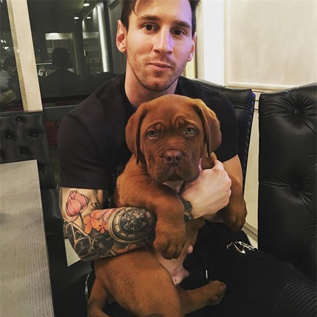 Messi thảnh thơi thư giãn bên chó cưng khổng lồ - Ảnh 2.