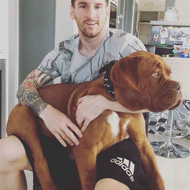 Messi thảnh thơi thư giãn bên chó cưng khổng lồ - Ảnh 3.