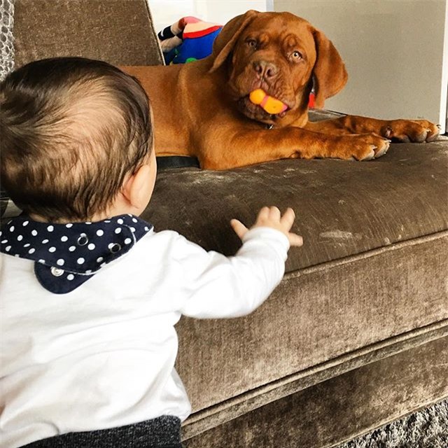 Messi thảnh thơi thư giãn bên chó cưng khổng lồ - Ảnh 5.