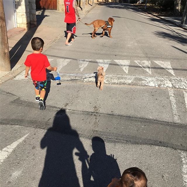 Messi thảnh thơi thư giãn bên chó cưng khổng lồ - Ảnh 8.