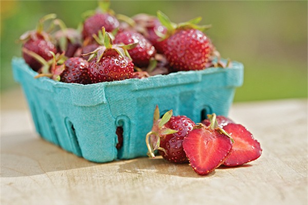 dau tay la sieu ngot, cang chin cang... tim hinh anh 6