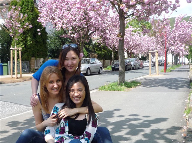 du học, du học sinh, du học Đức, học bổng du học, học bổng du học Đức