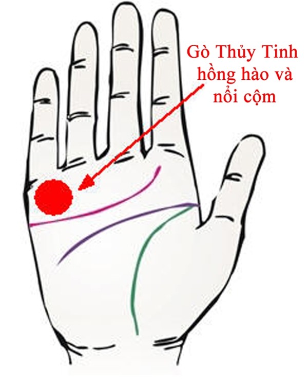 Tướng bàn tay của những người giỏi kiếm tiền