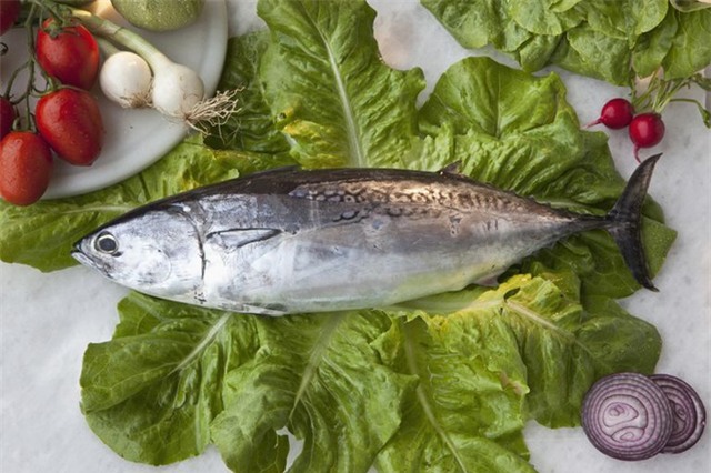 Ăn cá đã tốt, 7 loại cá này lại càng tốt hơn bạn không nên bỏ qua - Ảnh 7.