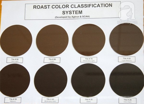 nghề nếm cà phê, cô gái có vị giác nghìn đô, nghề cupping, cupper, cà phê