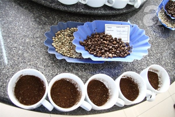 nghề nếm cà phê, cô gái có vị giác nghìn đô, nghề cupping, cupper, cà phê