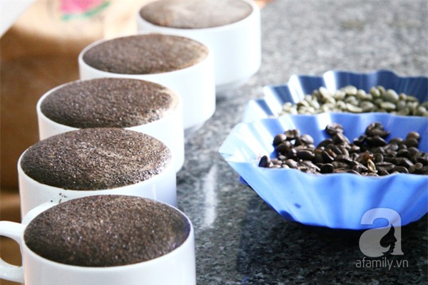 nghề nếm cà phê, cô gái có vị giác nghìn đô, nghề cupping, cupper, cà phê