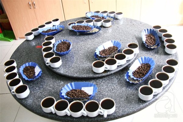 nghề nếm cà phê, cô gái có vị giác nghìn đô, nghề cupping, cupper, cà phê