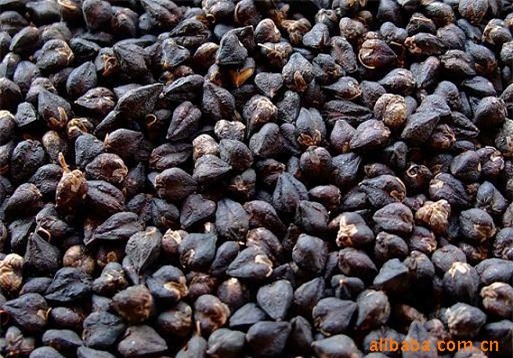 Bí mật dinh dưỡng ẩn sau những thực phẩm càng đen càng bổ - Ảnh 2.