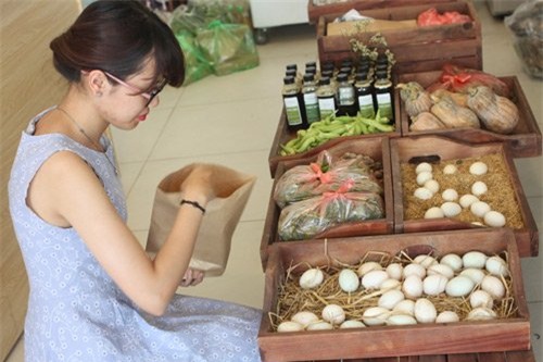 bỏ việc lương trăm triệu, trồng rau, nuôi lợn, nuôi gà, rau sạch, thực phẩm an toàn, sân thượng, ban công, thực phẩm bẩn, ung thư