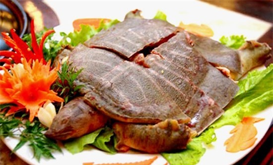 8 nguyên tắc kiêng kỵ khi ăn trứng bạn đừng dại quên - Ảnh 5.