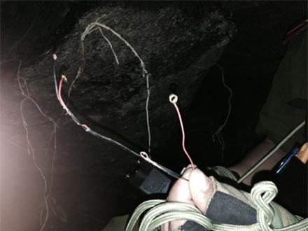 tanlaolo1-1473604582587