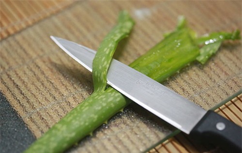 1 thia nha dam moi ngay de mun, vet tham bien mat khong dau vet - 3