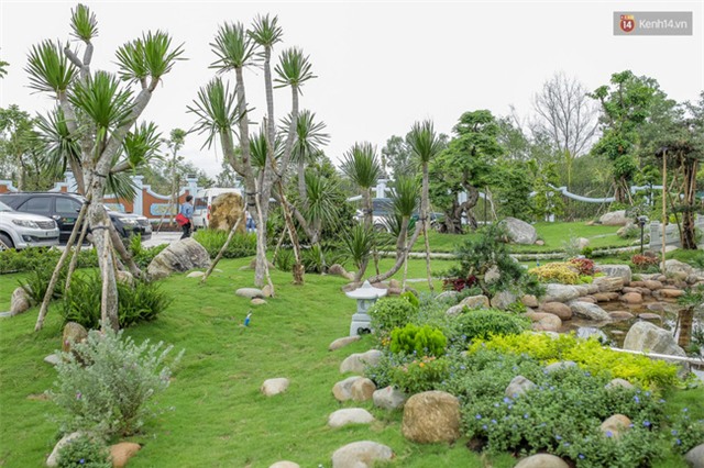 Cập nhật: Các nghệ sĩ đến thăm đền thờ Tổ trị giá 100 tỷ của Hoài Linh - Ảnh 28.