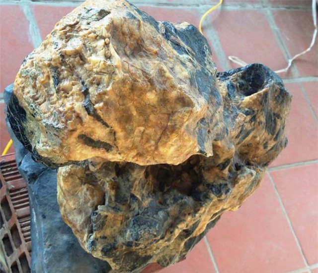 Nam Định, hòn đá, tiền tỷ, đào được, đá quý, cục đá, kho báu,