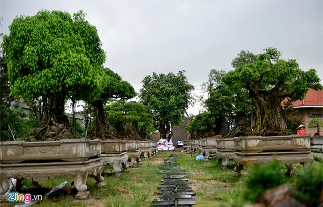 Toàn cảnh nhà thờ Tổ của Hoài Linh ở Sài Gòn - Ảnh 18.