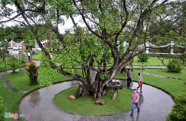 Toàn cảnh nhà thờ Tổ của Hoài Linh ở Sài Gòn - Ảnh 19.