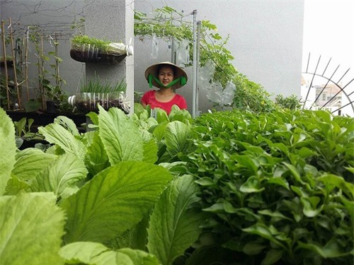 chong phan doi, 8x vung tau “len” trong rau sach tren ban cong - 1