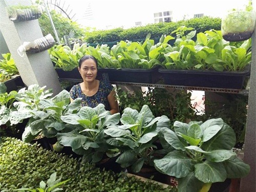 chong phan doi, 8x vung tau “len” trong rau sach tren ban cong - 3