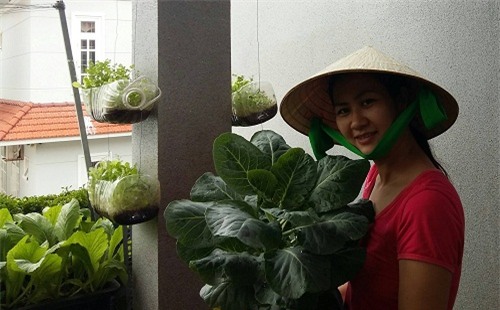 chong phan doi, 8x vung tau “len” trong rau sach tren ban cong - 4