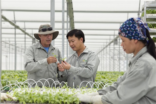 VinEco sẽ trực tiếp đào tạo và hướng dẫn các hộ nông dân có nhu cầu về quy trình sản xuất sạch; Hỗ trợ công nghệ, kỹ thuật và giống; Kiểm soát chất lượng trong quá trình sản xuất và trước thu hoạch