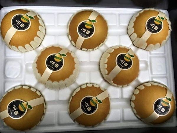 lê hàn quốc, lê trung quốc, hoa quả nhập khẩu, dân hà thành, hoa quả hàn quốc, lê nâu Hàn Quốc