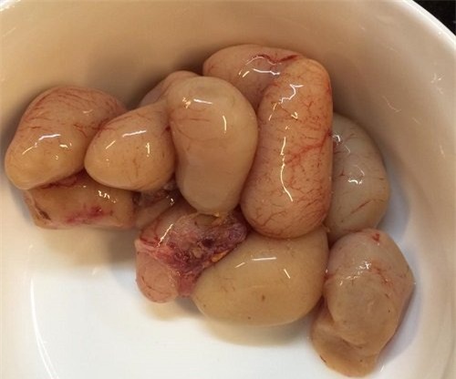 chuyện tình dục, chuyện ấy, chuyện phòng the, tẩm bổ chồng, ngọc kê