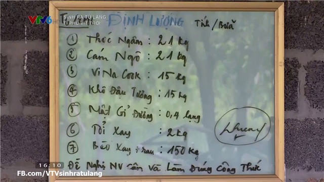 Thanh niên, vịt trời, tiền tỷ, thu tiền tỷ, nông dân, nuôi vịt, nuôi gà, chăn nuôi, tỷ phú,