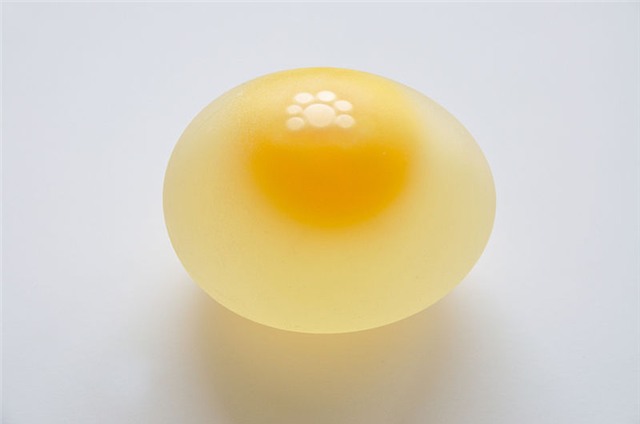 20 bí mật ít biết về quả trứng gà