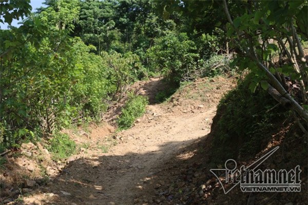 xe máy chở thi thể, sở y tế, vụ xe máy chở thi thể, chở người chết bằng xe máy