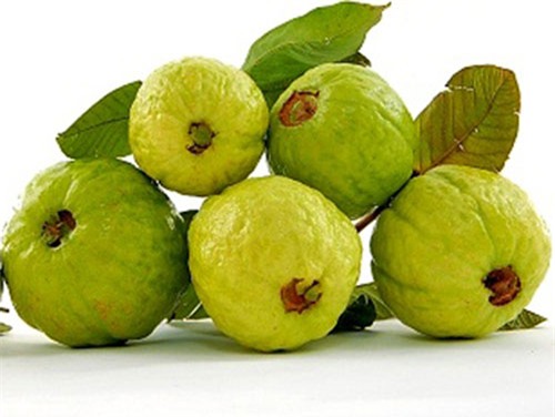 Tắc ruột vì ăn quá nhiều những loại quả vốn bổ dưỡng - Ảnh 1.