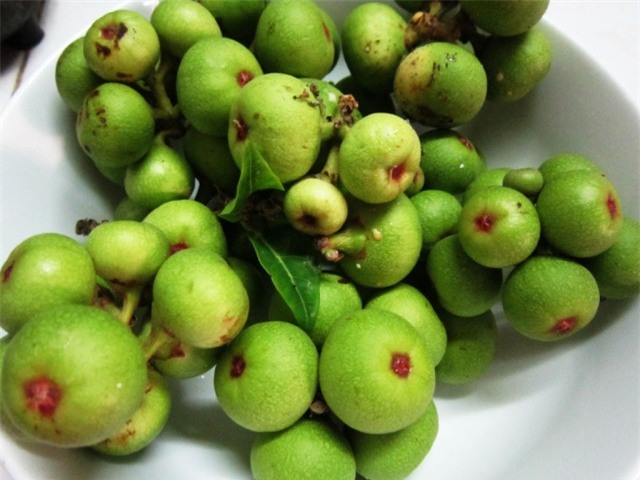 Tắc ruột vì ăn quá nhiều những loại quả vốn bổ dưỡng - Ảnh 3.