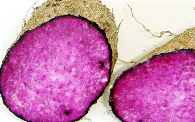 bi quyet lam dep va giu dang cua lan khue hinh 15