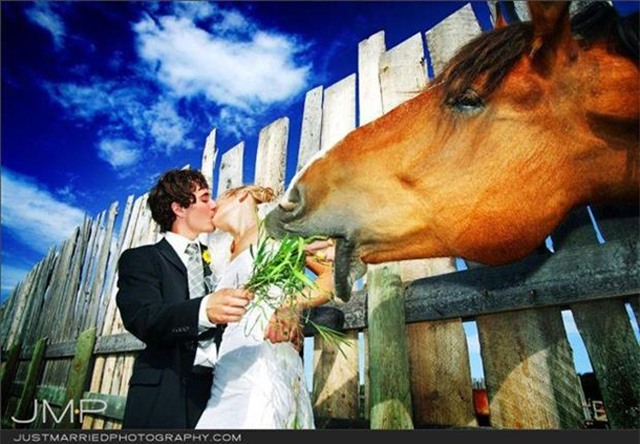 xem anh cuoi ma cuoi "khong ngam duoc mom" hinh anh 7