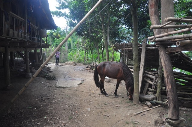 Hình ảnh rơi nước mắt vụ chở thi thể về bằng xe máy - Ảnh 5.