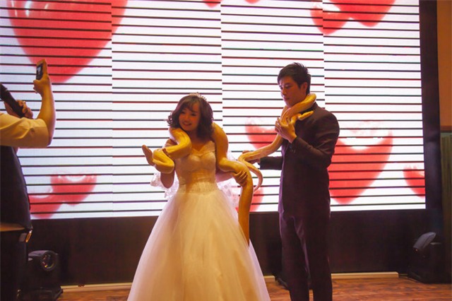 Khách mời há hốc miệng khi cô dâu chú rể tặng nhau đôi trăn vàng làm vật chứng tình yêu - Ảnh 2.