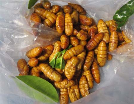 Nhộng tằm, ngậm nước, bà nội trợ, ngâm nước, dân nhậu, món ăn, quán ăn, nhà hàng, hóa chất